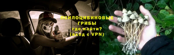 PSILOCYBIN Бронницы